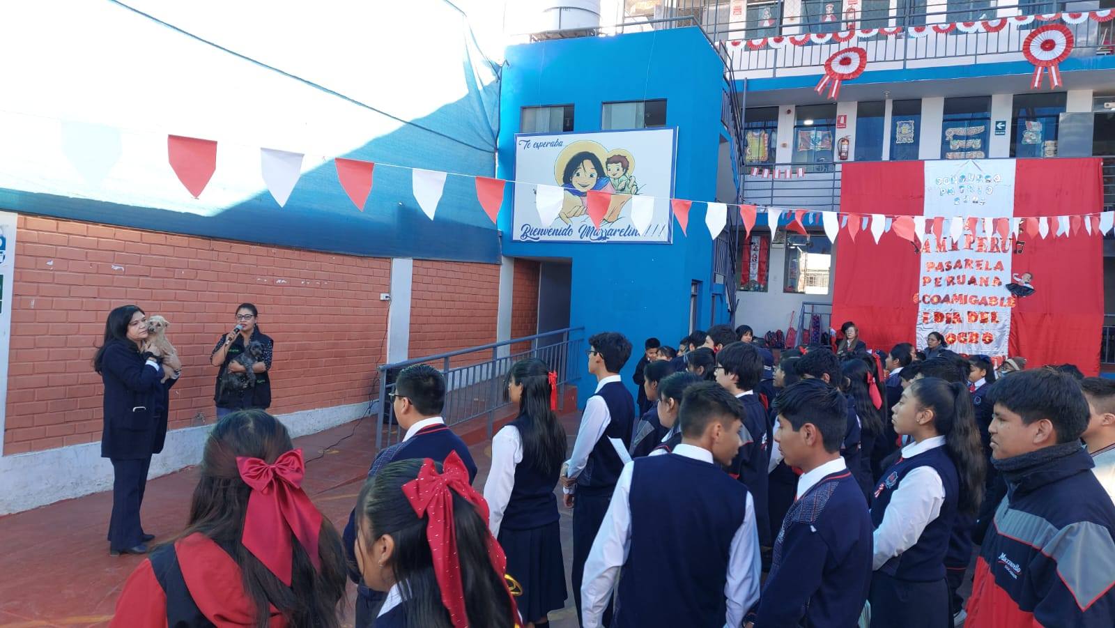 Campaña de recolección