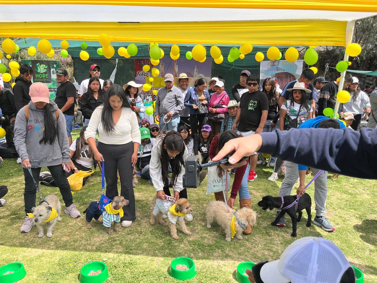 Veterinario cuidando a una mascota con cariño