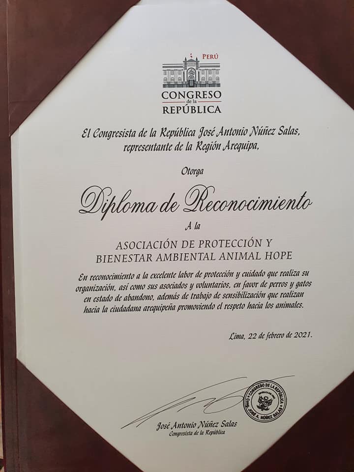 Entrega de Diploma del Congreso de la República 2021