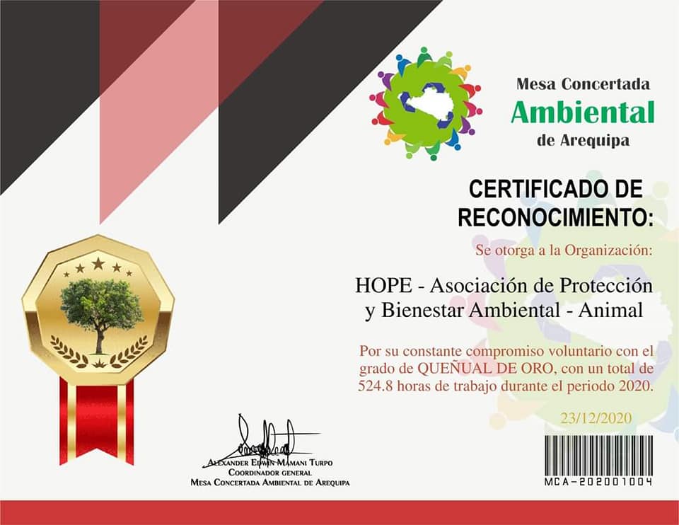 Certificado Quenual de Oro 2020