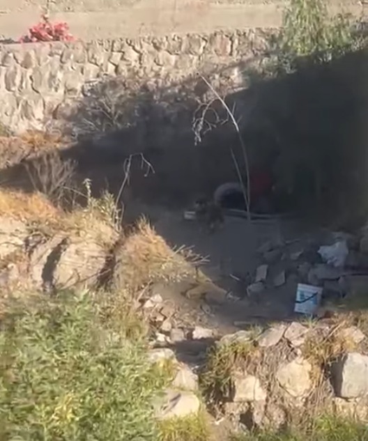 Un reciclador tiene amarrado desde hace varios días a un perrito de raza Schnauzer